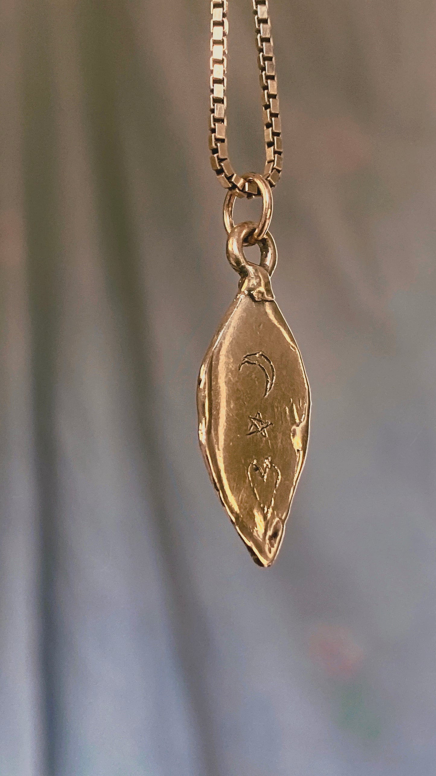 shroom II // one of a oval medallion mushroom magic brass pendant