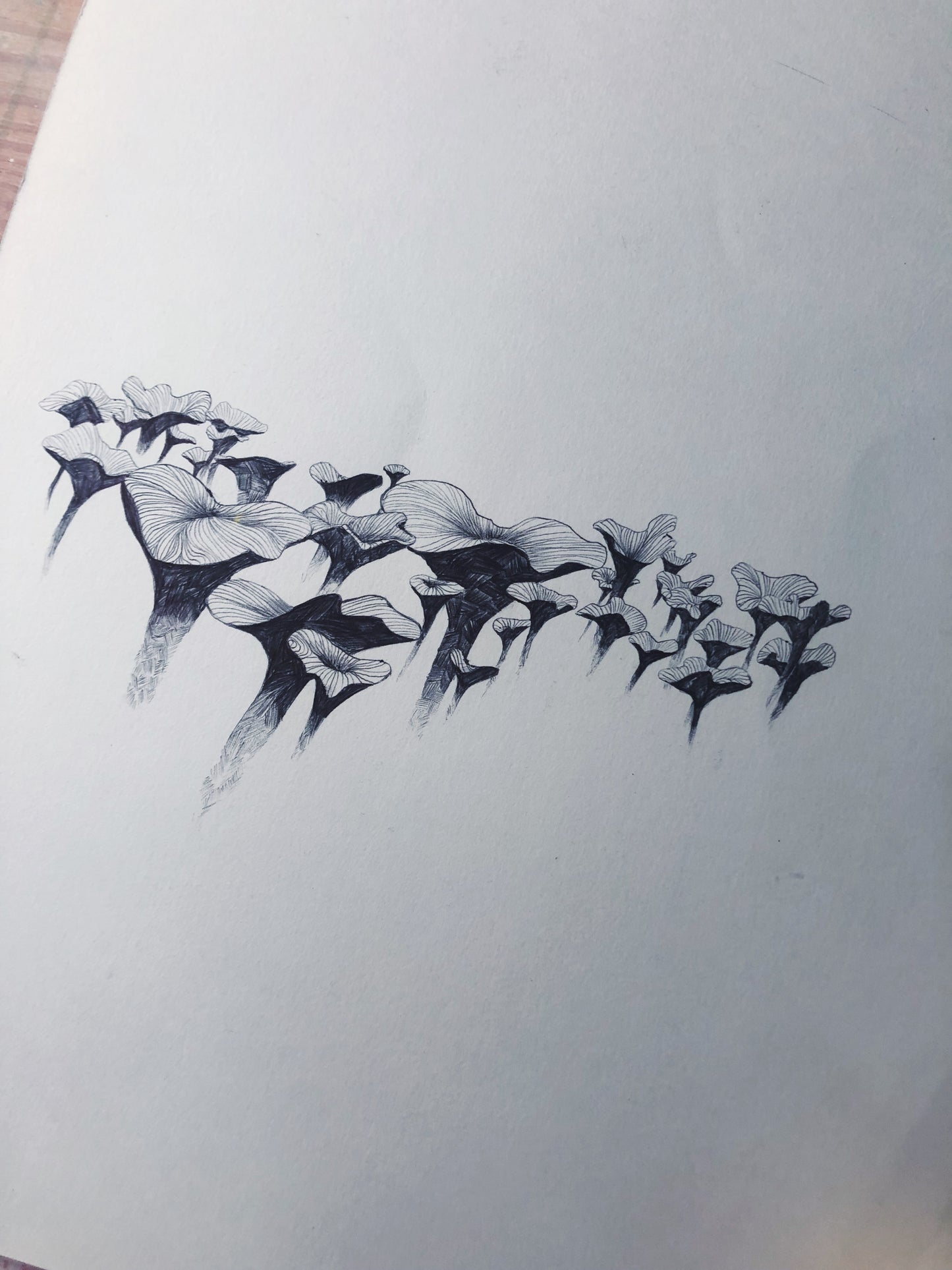 Fairy Ring // Original Drawing