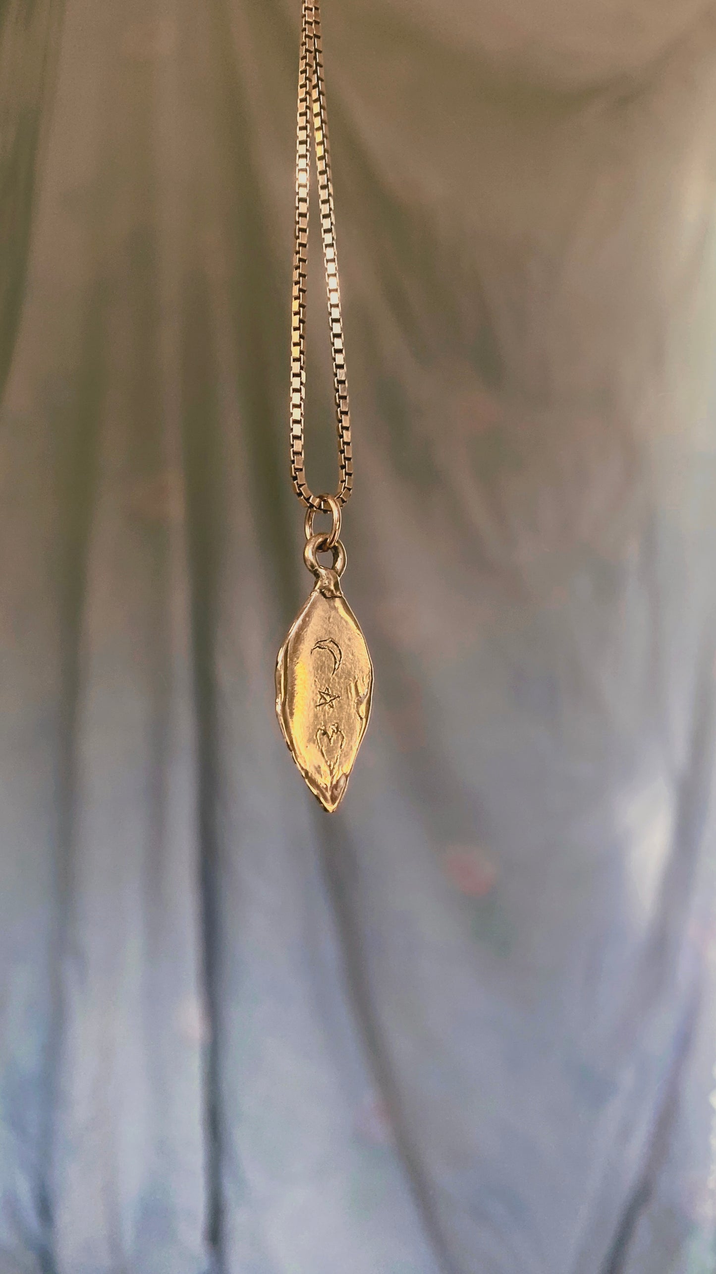 shroom II // one of a oval medallion mushroom magic brass pendant