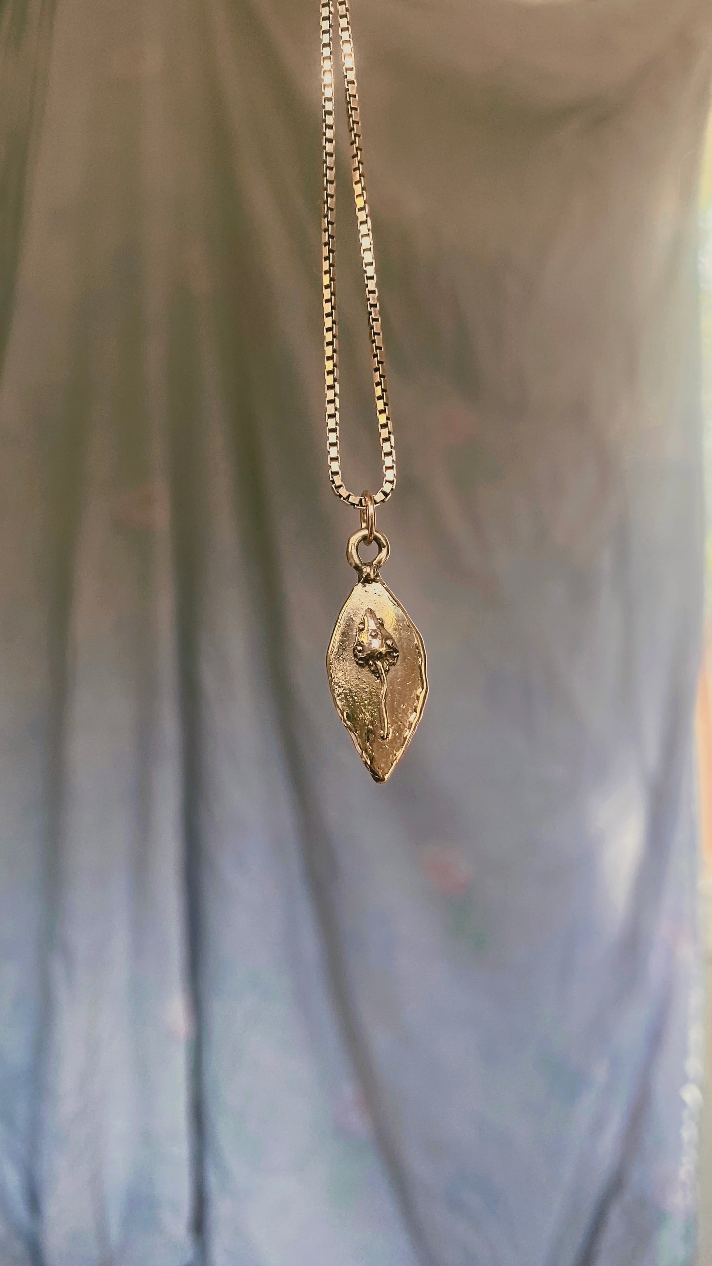 shroom II // one of a oval medallion mushroom magic brass pendant