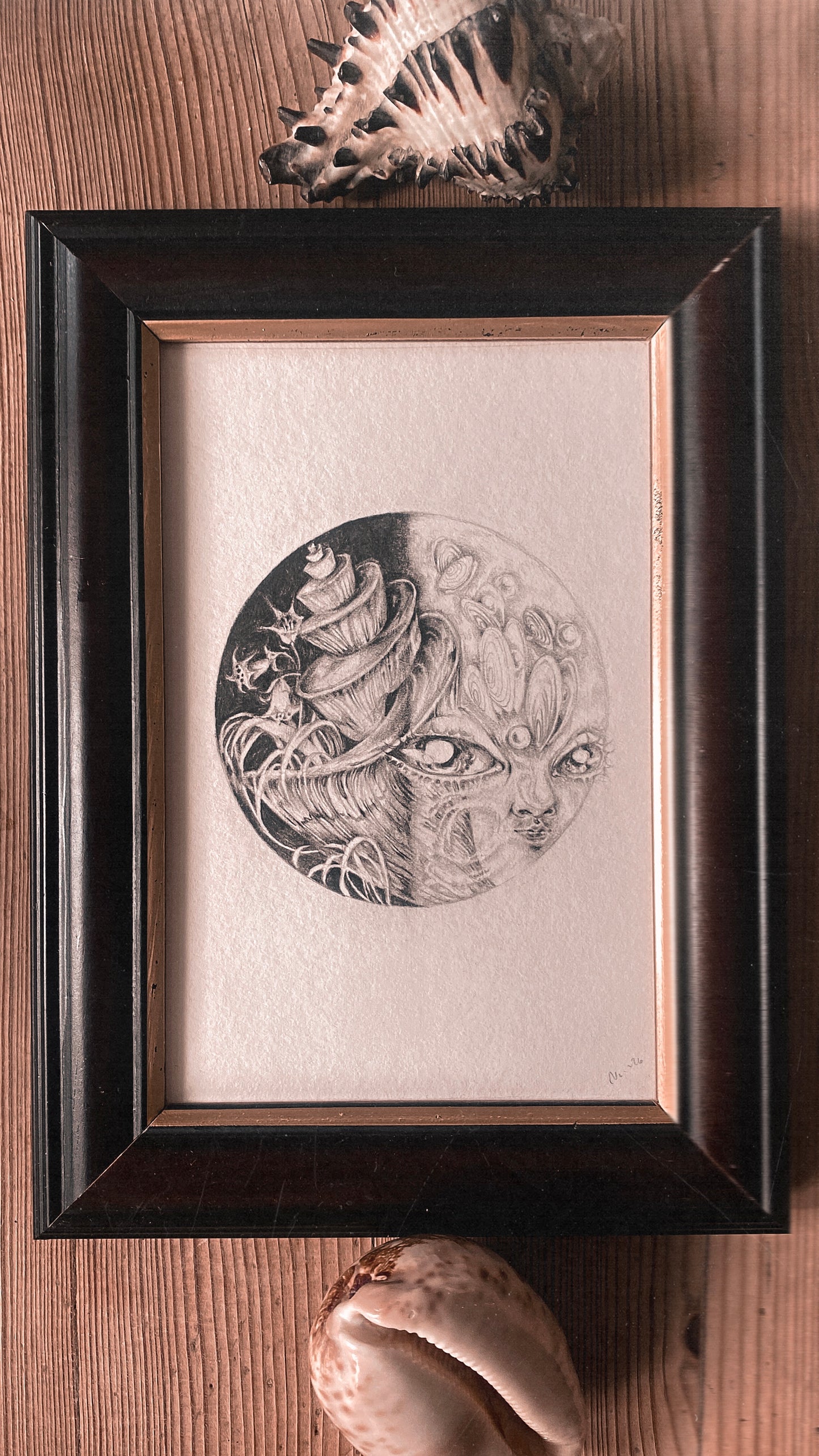 first quarter (waxing half illuminated) moon - framed original drawing